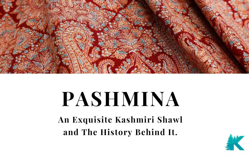 pashmina shawl and the history behind it