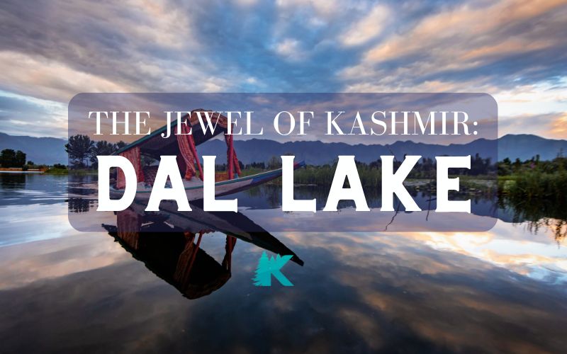 The jewel of kashmir- dal lake