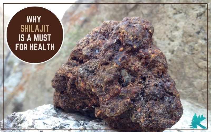 why shilajit is must for health