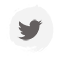 twitter icon