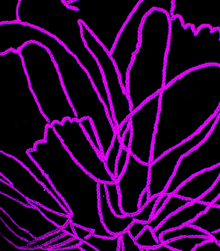 Pink Flower Outline High-Quality Black Velvet Cushion Cover - With Hand Ari Work, Lining, and Velvet Back 2