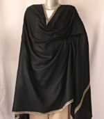 Black Hashidaar Hand Embroidered Kashmiri Pure Pashmina Shawl