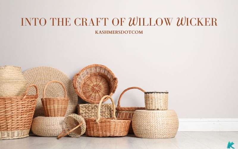 into the craft of willow wicker