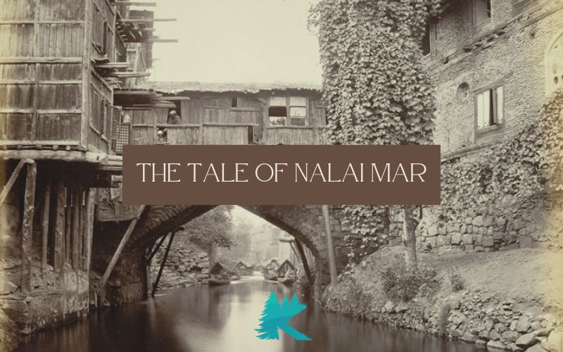 the tale of nalai mar