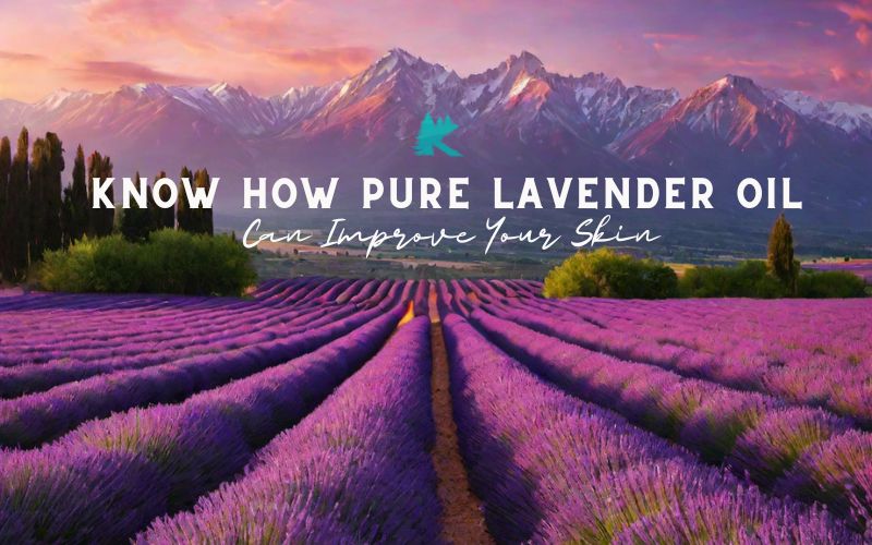 how pure lavender oil can improve your skin