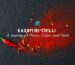 kashmiri chili : a journey of flavor