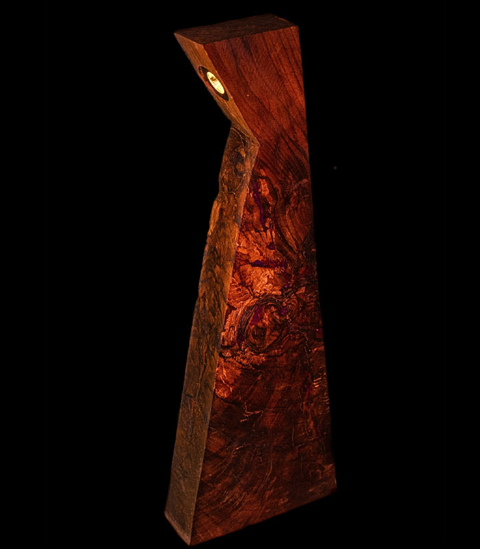 Sunlit Walnut Wood Decor Lamp