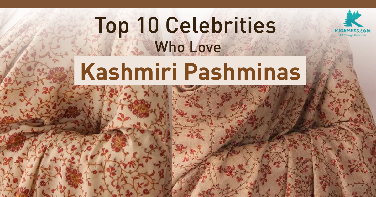 Top 10 Celebrities Who Love Kashmiri Pashminas