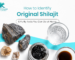 How to Identify Original Shilajit: 6 Purity Tests