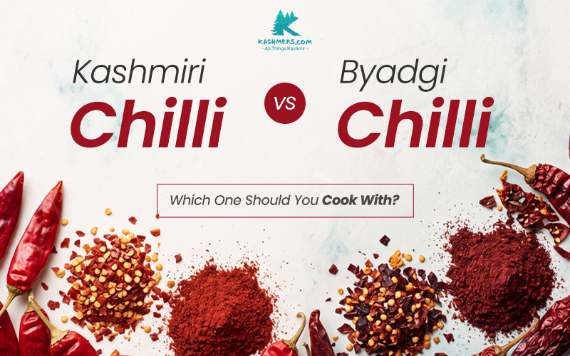 Kashmiri Chilli vs Byadgi Chilli: Which One to Cook With?