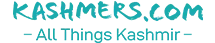 Website Logo