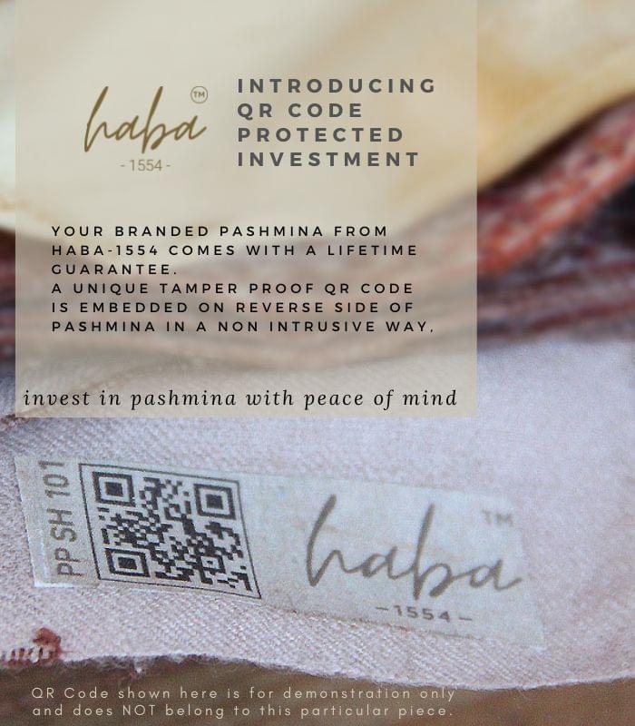 Black Hashidaar Hand Embroidered Kashmiri Pure Pashmina Shawl