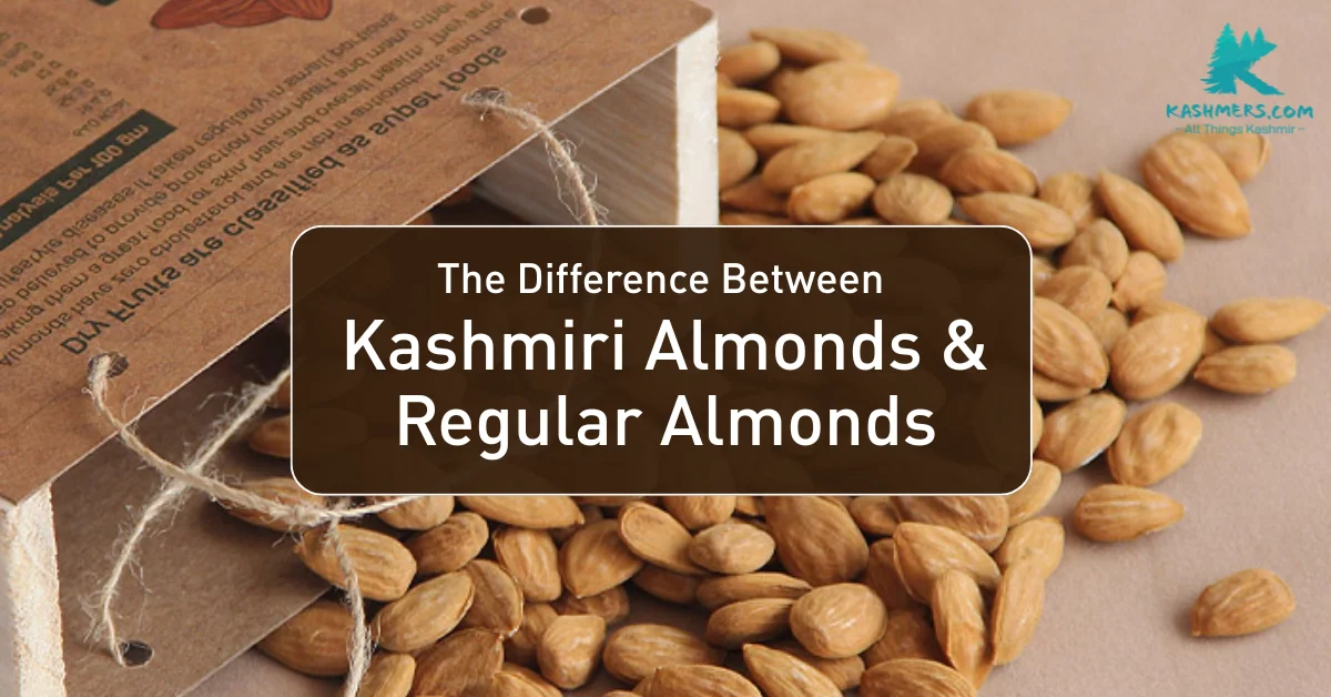 The Difference Between Kashmiri Almonds & Regular Almonds
