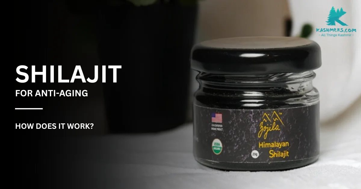 Shilajit for Anti-Aging & How does it Work?